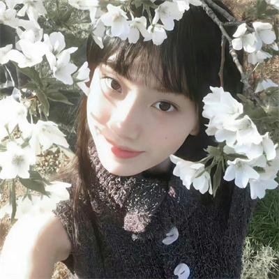 怪兽婆婆